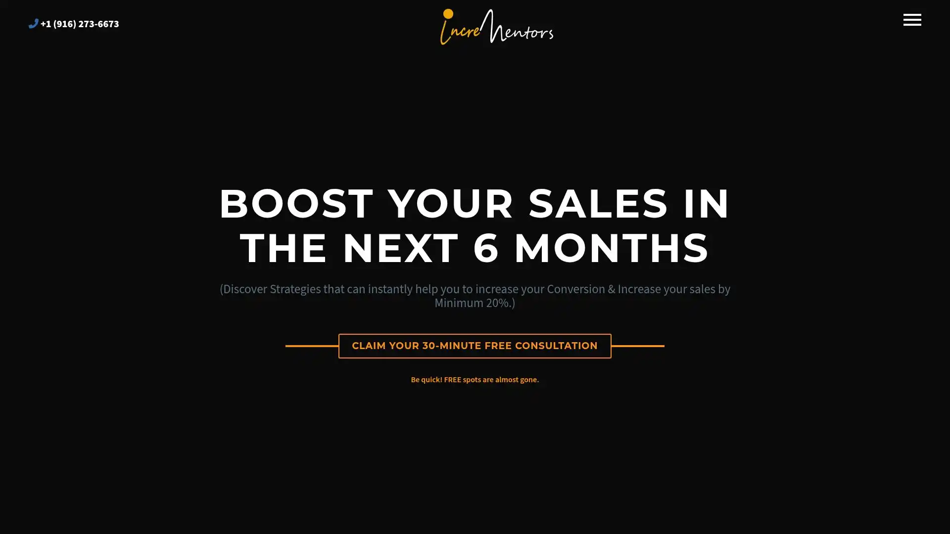 Incrementors website screenshot – digital marketing agency overview